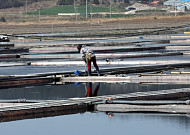 '염전 노예' 논란에 1004의 섬 신안군...'국가문화유산' 취소 신청