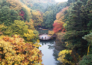 도심 속 ‘숨 쉬는 쉼터’ 6곳 선정…산림청, 올해의 모범 도시숲 발표