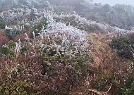 [포토] 제주도 한라산 첫 상고대...지난해보다 9일 빨라