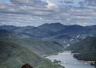 "실패는 잊어" 수자 씨가 산촌에서 딴 두 가지 열매