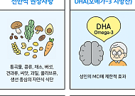[만화로 보는 시니어 뉴스] “두뇌도 식습관이 좌우한다”…인지 건강 위한 식단