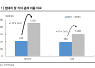 현대차, 관세 불확실성 해소에 자신감 회복…한투 “목표가 30만5000원·신차·배당 기대”