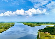 '영산강 익사이팅존 비리'...광주시 사무관 직위해제