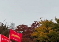 한강서 중국인들 군복 입고 단체 행진...“여기가 베이징이냐”
