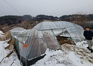 폭설 한 번에 하우스도 무너진다…정부, 겨울철 농업 피해 ‘선제 방어’