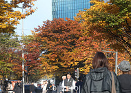 [내일날씨] ‘일요일 온화’ 낮 최고 18도…전국 대체로 흐림