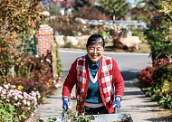 시골에서 부(富)와 자유를 얻었다. 길바닥에서 닦은 내공을 쏟은 덕분에…