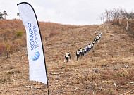 중부발전, 홍성 산불 피해지 '생태 복원' 앞장