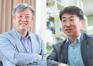 경희대 교수진, 세계 상위 1% 연구자 4명 선정…국내 종합대학 3위