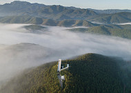 마음이 쉬어가는 사유원에서 108그루의 모과나무를 만나다