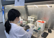 전남 겨울철 쯔쯔가무시증 환자 증가...지구온난화 영향