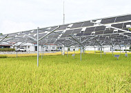 비수도권 사원 임대주택 85㎡ 이하까지 취득세 중과 면제