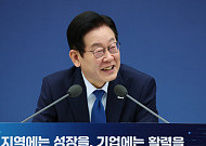 반도체 금산분리 완화⋯증손회사 지분율 50%로 낮추고 금융리스 허용 [업무보고]