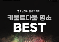 [카드뉴스] 가족과 함께 '연말 카운트다운 행사' 모음 6