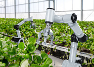 스마트농업 우수기업 15곳 첫 선정…융자 100억원까지 지원
