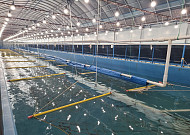 초기 투자부담 없이 어촌 양식장 빌려 쓴다⋯31일 설명회