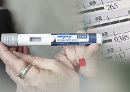 “실컷 먹고 위고비 해야지~”…명절 건강 빨간불