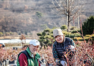 석두(石頭)라는 별명으로 통했던 이의  영리한 농사에 대해