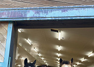 말은 달리지 않아도 사람을 움직이게 한다