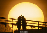 “새해 복 많이 받으세요”⋯서울 자치구, 2026년 구민들과 함께 맞았다