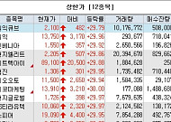 [급등락주 짚어보기] 형지엘리트ㆍ원익ㆍ스피어ㆍ셀루메드 등