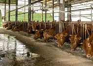 냄새·민원 골칫덩이 가축분뇨, 이제는 자원으로…정부, 첫 실험지 공개