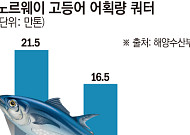 수입 고등어마저 귀해진다…고등어 한 손 1만 원 시대