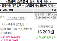 소비자원 “문화비 소득공제 확대에도 일부 쇼핑몰, 등록도 안해”