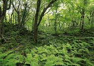 생태계서비스 지불제 참여자 ...제주도 모집합니다