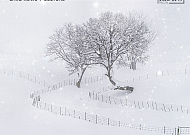 [카드뉴스] 겨울에 떠나기 좋은 국내 설경 명소 5선