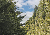 강북 명소 '경춘선숲길' 광운대역까지 연장...노원구 "6월 개통 목표"