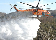 축구장 58개 전도 불에 탄 광양 산불....이틀째. 진화율 80％