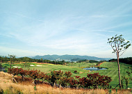 다산베아채 골프앤리조트