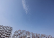 나목들의 수준 높은 겨울 춤을 보라