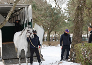 세계랭킹 1위 경주마 ‘닉스고’ 제주 입성…교배료 전액 무상, 국산마 판 바뀌나