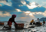 '레저·생태' 공존 해양수산...보성군 청사진 제시