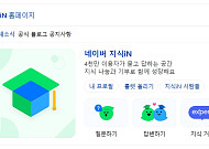 네이버 지식인 답변 '파묘 중'…유출된 유명인은?