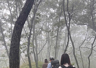 동서로 잇는 512km 숲길 열린다…산림청, 동서트레일 시범운영 착수