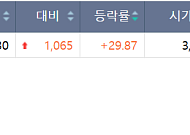 [급등락주 짚어보기] 다스코 상한가…코스닥선 우리기술·플루토스 급등