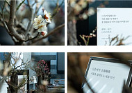 설 연휴 ‘문화 산책’ 해볼까⋯가족 나들이에 좋은 전국 박물관 전시