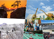 설 연휴 땅끝 해남군....'맴섬 일출' 보러오세요