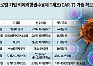 릴리·AZ·BMS까지…빅파마가 쓸어 담는 인비보 CAR-T
