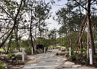 서울시, AFoCO와 손잡고 서울숲 '기관동행정원' 조성