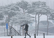 안전재난문자 잇따라…'대설주의보' 충청·강원 시간당 3㎝ 폭설