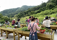 고령농 농지 모아 청년이 키운다…공동영농 6곳 규모화 시동