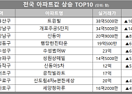 [아파트값 상승 톱10] 서울 강남구 ‘개포주공5단지’ 등