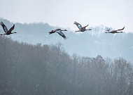 봄을 기다리며 연천 속으로