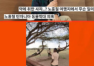 노홍철, '사자 학대' 논란에 정면 돌파⋯"국가가 보호, 있을 수 없는 일"