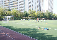 “학생선수 부상 48시간 내 보고”⋯서울 학교운동부 안전관리 체계 강화