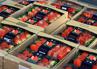 K-푸드 수출 막는 ‘비관세장벽’ 현장에서 푼다…농식품부, 수출업계 간담회